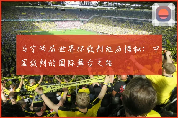 马宁两届世界杯裁判经历揭秘：中国裁判的国际舞台之路